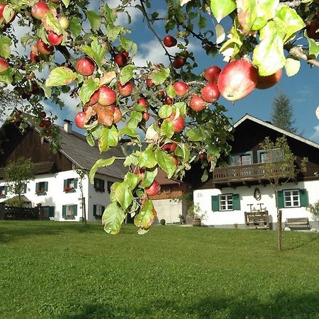 Ferienhof Margarethengut Villa Unterach am Attersee Buitenkant foto