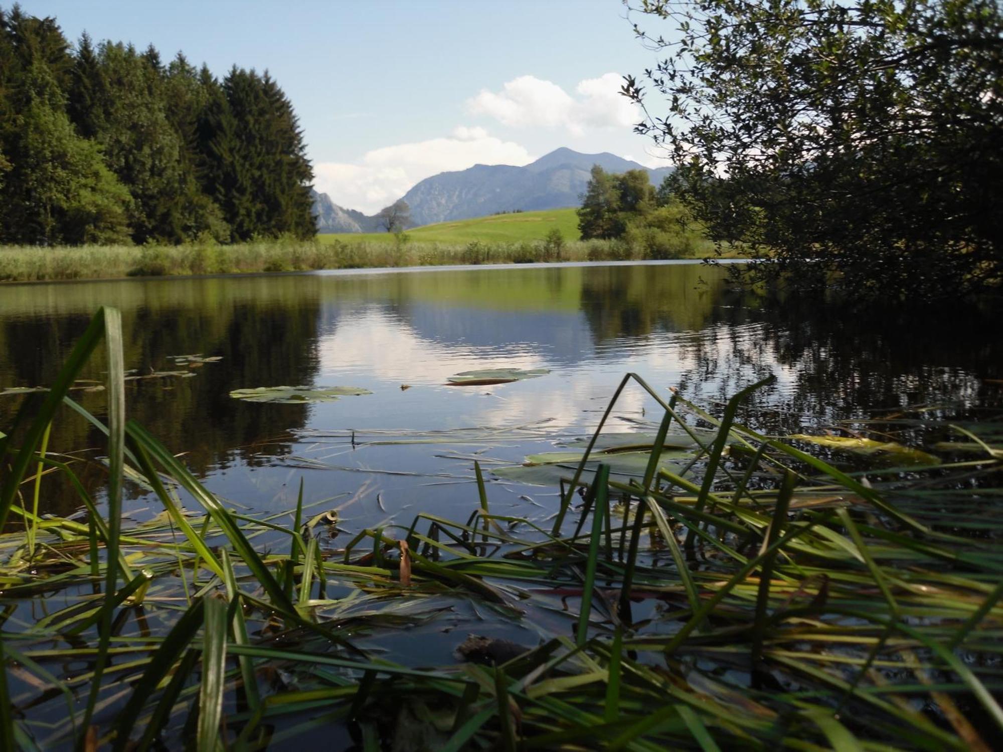 Ferienhof Margarethengut Unterach am Attersee Buitenkant foto
