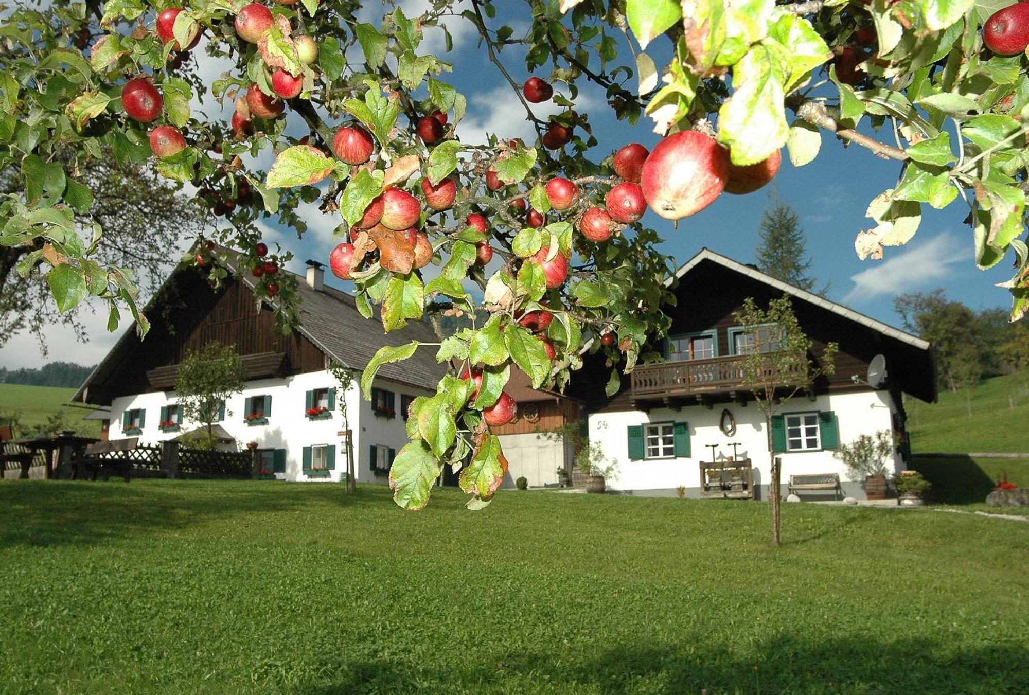 Ferienhof Margarethengut Unterach am Attersee Buitenkant foto