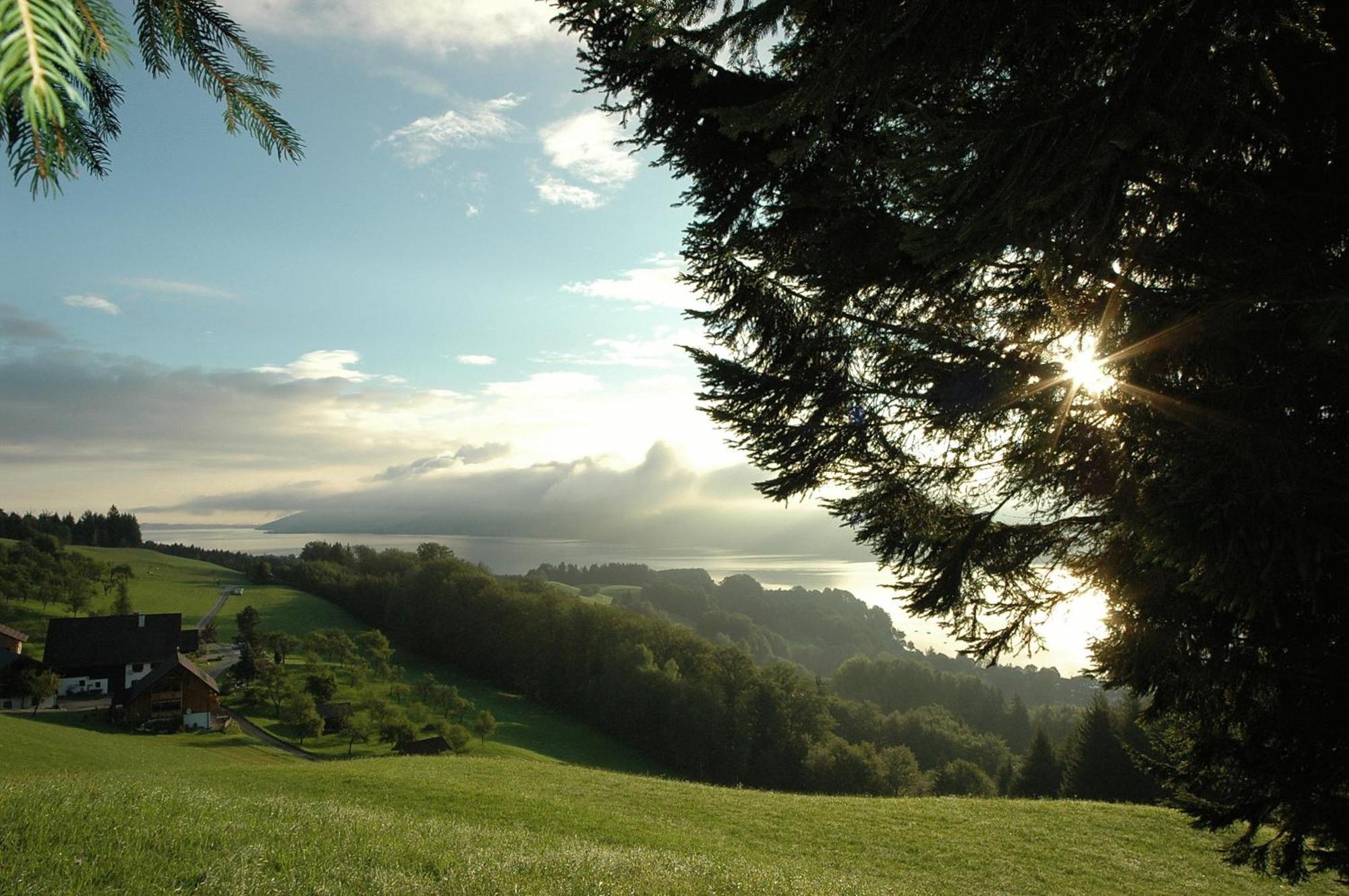 Ferienhof Margarethengut Unterach am Attersee Buitenkant foto