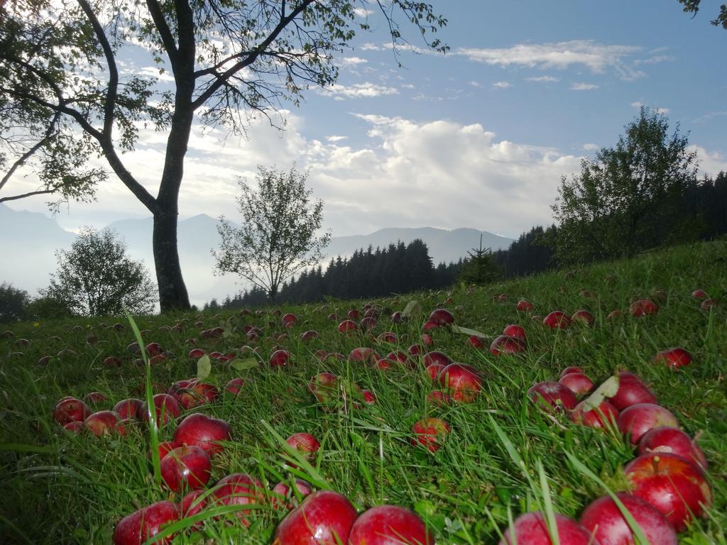 Ferienhof Margarethengut Villa Unterach am Attersee Buitenkant foto