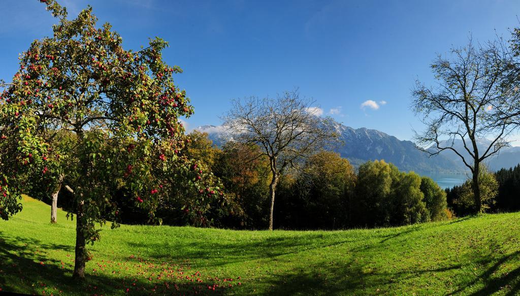 Ferienhof Margarethengut Unterach am Attersee Buitenkant foto