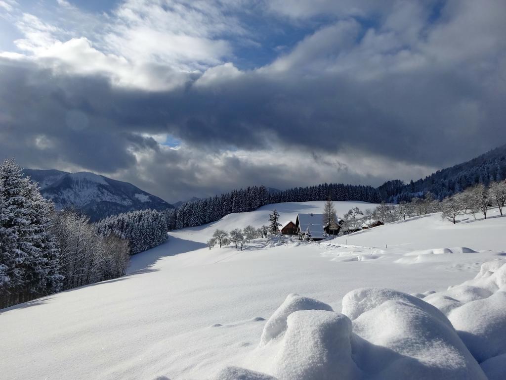 Ferienhof Margarethengut Villa Unterach am Attersee Buitenkant foto