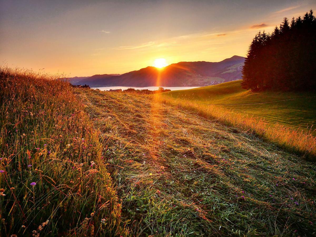 Ferienhof Margarethengut Unterach am Attersee Buitenkant foto